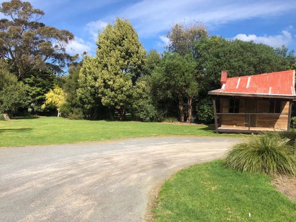 Lawn and gum trees in the garden