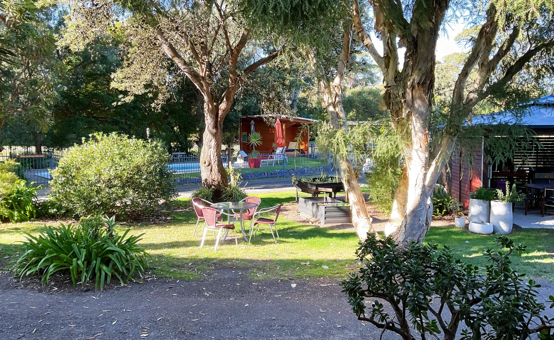 Sunny lawn and paperbark trees in the Marlo Hideaway garden